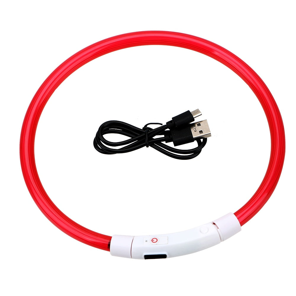 Coleira USB recarregável LED para cachorro de estimação. Coleira brilhante e luminosa para passeios noturno com seu animalzinho.
