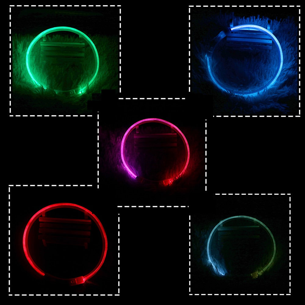 Coleira USB recarregável LED para cachorro de estimação. Coleira brilhante e luminosa para passeios noturno com seu animalzinho.