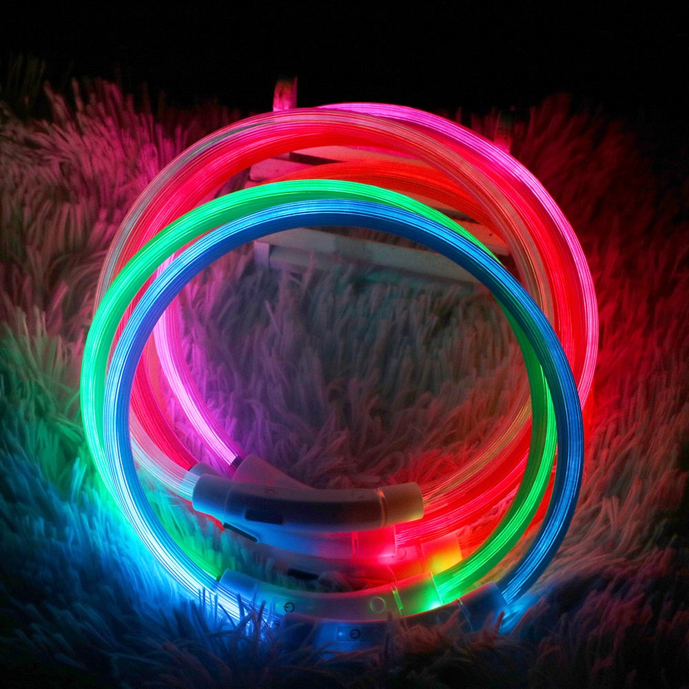 Coleira USB recarregável LED para cachorro de estimação.
Coleira brilhante e luminosa para passeios noturno com seu animalzinho.