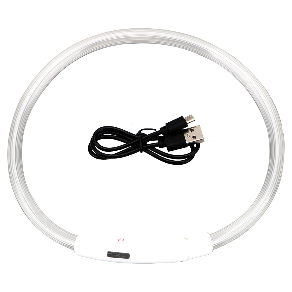 Coleira USB recarregável LED para cachorro de estimação.
Coleira brilhante e luminosa para passeios noturno com seu animalzinho.