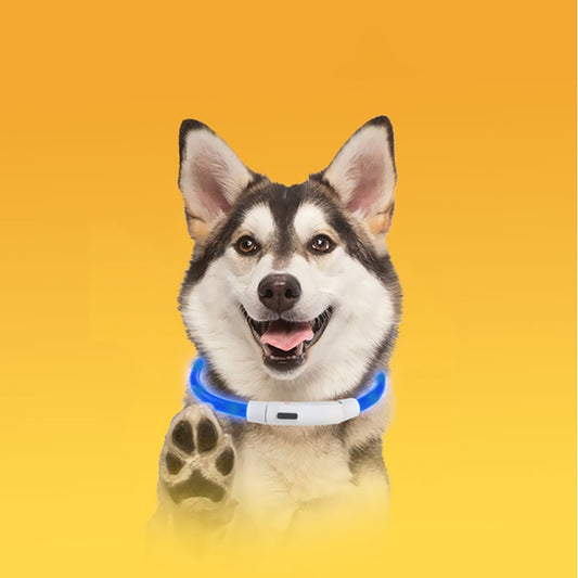 Coleira USB recarregável LED para cachorro de estimação.
Coleira brilhante e luminosa para passeios noturno com seu animalzinho.